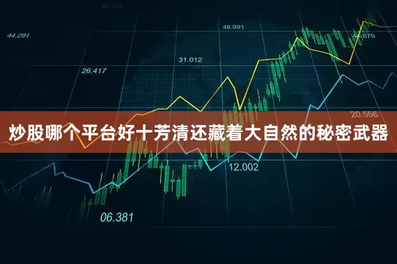 炒股哪个平台好十芳清还藏着大自然的秘密武器